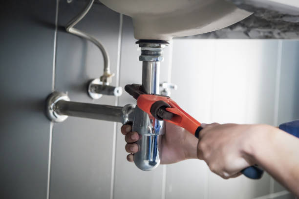 Best Plumbing System Maintenance  in Estill, SC